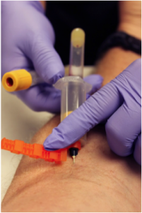 phlebotomy on the job training